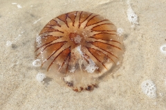 20190831_113620