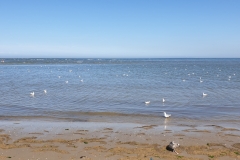 20190831_115854
