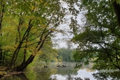 20201017_131508
