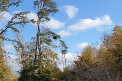 20201031_02