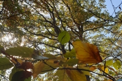 20201031_04