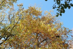 20201031_07