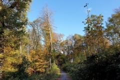 20201031_08