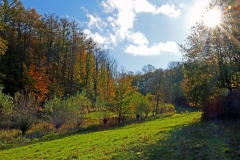 20201031_15