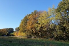 20201031_25