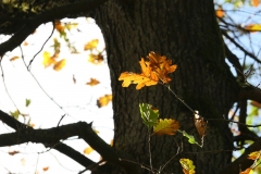 20201031_30