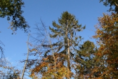 20201031_35