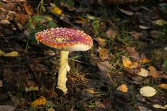 20201031_40