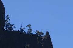 P1020783
