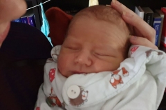 Noah2
