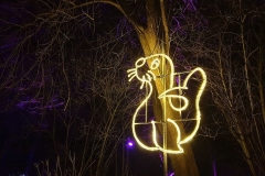 Silvester2019-2020_14