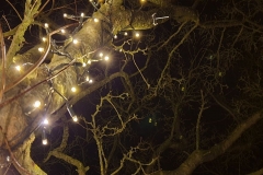 Silvester2019-2020_18