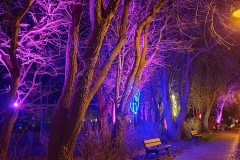 Silvester2019-2020_20