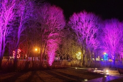 Silvester2019-2020_23