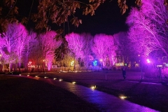 Silvester2019-2020_24