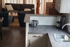 Chalet Newport 22 - Küche Richtung Wohnzimmer
