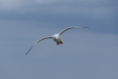 P1010525