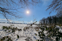 winter2021_06