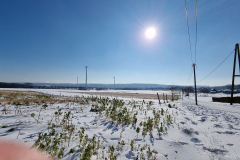 winter2021_08