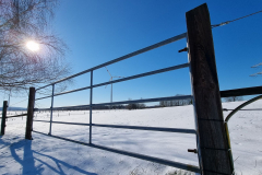 winter2021_10