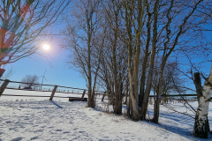winter2021_11