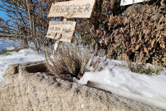 winter2021_14