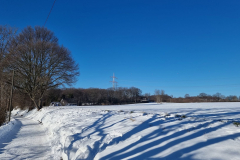 winter2021_15