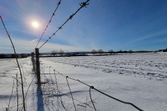 winter2021_16