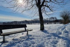 winter2021_17