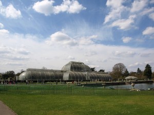 Das 'Wahzeichen' von Kew Garden: Das Palm House